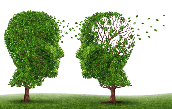 The Caregiver’s Guide to Alzheimer’s